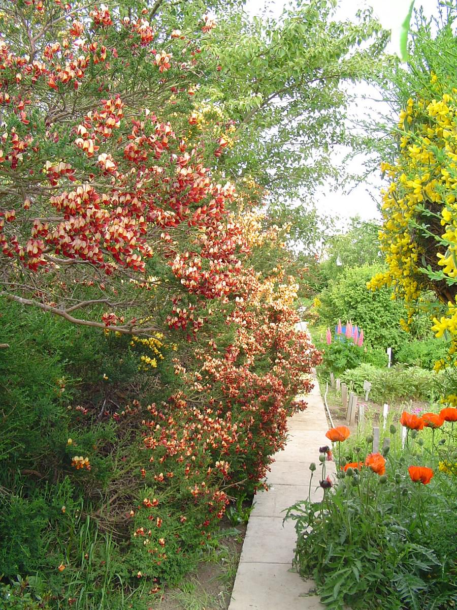 jardin-mutschke-14